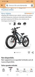bici elettrica