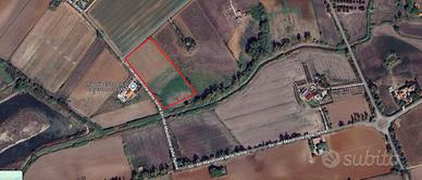 Terreno agricolo zona Le Saline, Tarquinia