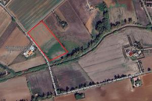 Terreno agricolo zona Le Saline, Tarquinia