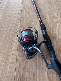 DAIWA NINJA + NINJA 4000 LT + BALOSSO 210