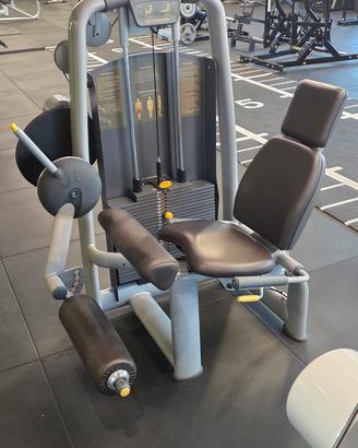 leg extension 
