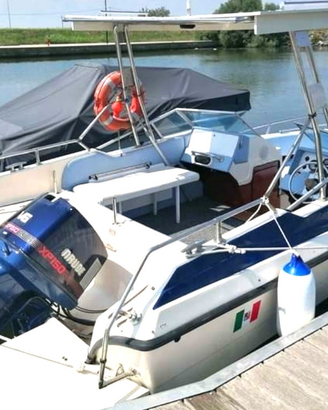 Barca motore e carrello 15q