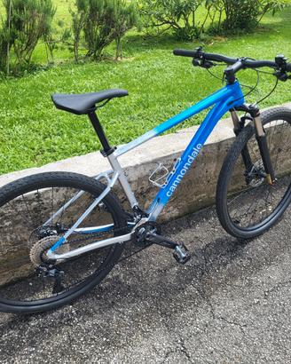 mtb cannodale 