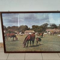 Quadro "Cavalli nella prateria" puzzle 