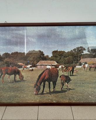 Quadro "Cavalli nella prateria" puzzle 