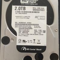 hard disk western digital 2tb