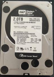 hard disk western digital 2tb