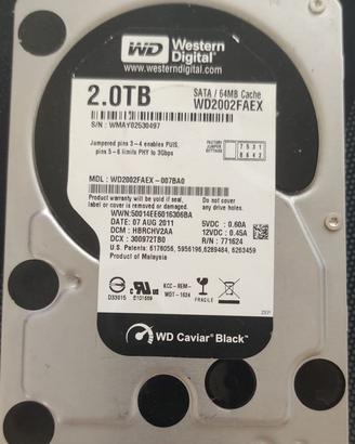 hard disk western digital 2tb