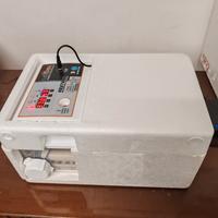 incubatrice 