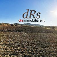 Pisticci. Azienda agricola di 5 ha con magazzino