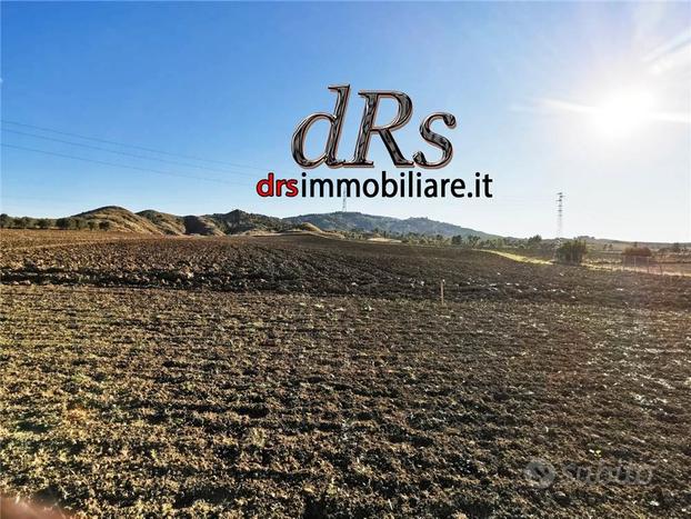 Pisticci. Azienda agricola di 5 ha con magazzino