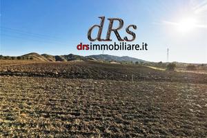 Pisticci. Azienda agricola di 5 ha con magazzino