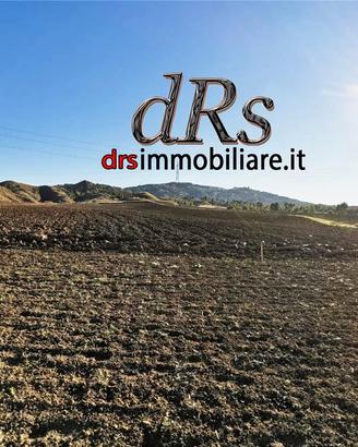 Pisticci. Azienda agricola di 5 ha con magazzino