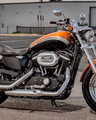 Tanti  accessori harley sportster xl 1200 ca