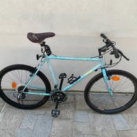 Biciletta mountain bike uomo