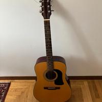 Chitarra WASHBURN  D10-E