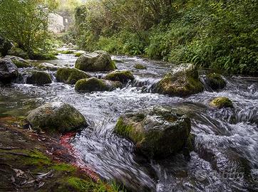 Terreno agricolo panoramico ideale per agriturismo