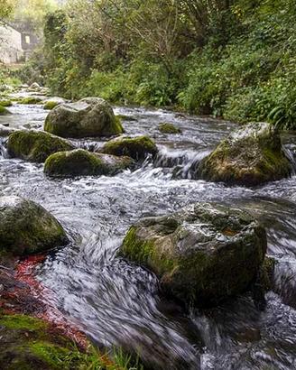 Terreno agricolo panoramico ideale per agriturismo
