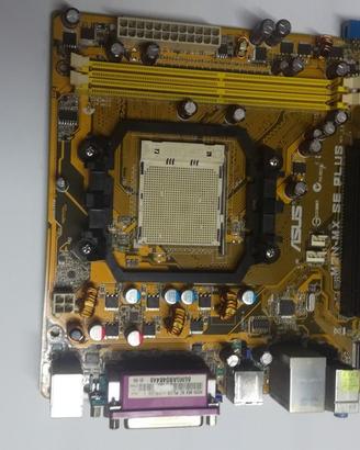 Scheda madre Asus M2N-MX-SE Plus Amd