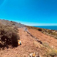 Terreno con progetto e concess. edilizia approvati