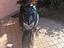 Immagine 2