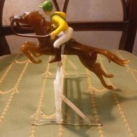 Fantino a cavallo che salta ostacolo in vetro