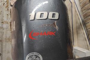 Motore fuoribordo Yamaha F100