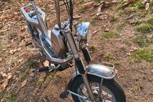 Motorino Cimatti Chic