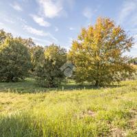 TER. RESIDENZIALE A CASPERIA