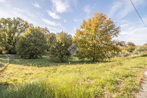 TER. RESIDENZIALE A CASPERIA