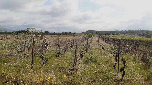 Is Ammostus, Terreno recintato fronte strada