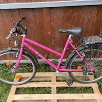 Bici donna con seggiolino