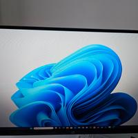 Monitor 24" Tastiera, Mouse, Cuffie e scheda audio