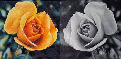 Disegno personalizzato.