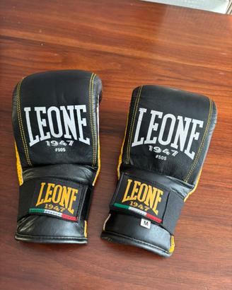 Guanti da boxe