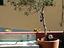 Immagine 13