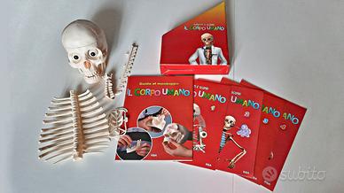 Divertiti e scopri il corpo umano - Fascicoli 1-4