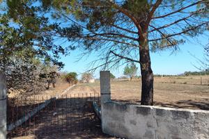 terreno agricolo di 2200mq con piccolo annesso 