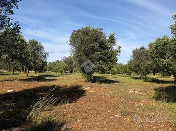 TER. AGRICOLO A CAROVIGNO