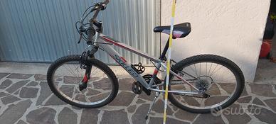 bicicletta ragazzi 