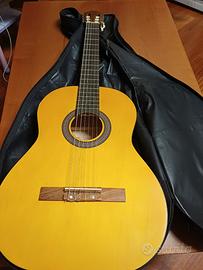 chitarra Stagg