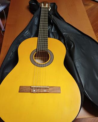 chitarra Stagg