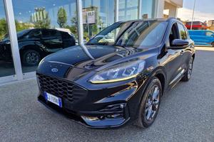 FORD Kuga 1.5 EcoBlue 120 CV 2WD ST-Line