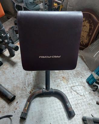 panca Scott palestra