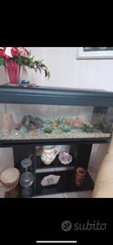 acquario