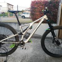 Specialized StumpJumper 29er