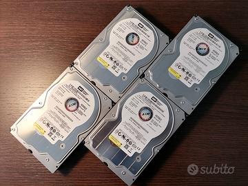 N.4 Hard Disk SATA WD2500JS 250GB 3,5"