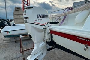 Evinrude E-tec 90 cv