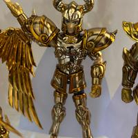 Cavalieri dello zodiaco capricorno