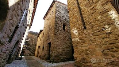 CIELO TERRA DA ULTIMARE, IN UN CARATTERISTICO BORG